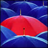 Mentor Services Website